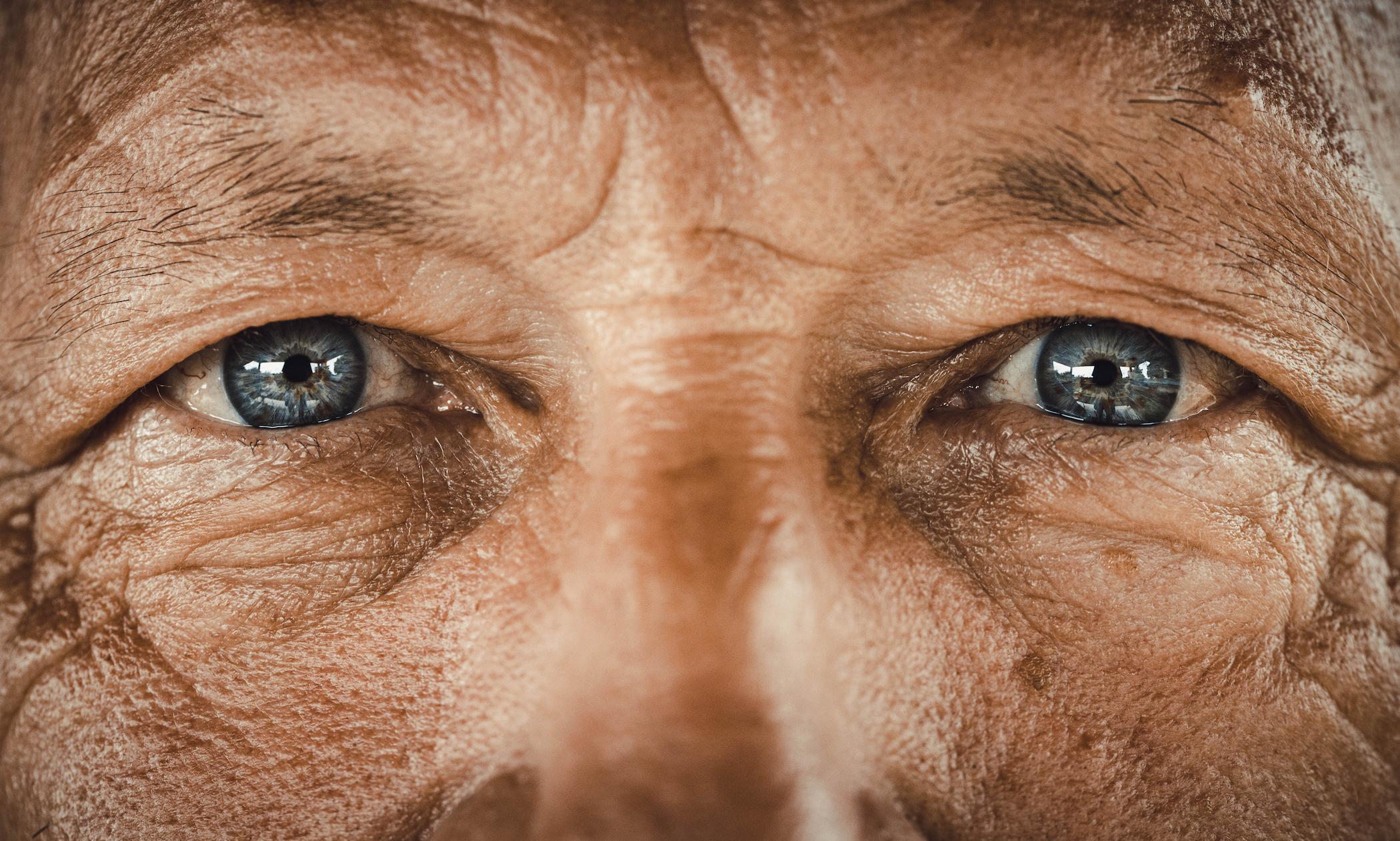 Point of Difference – Through Their Eyes