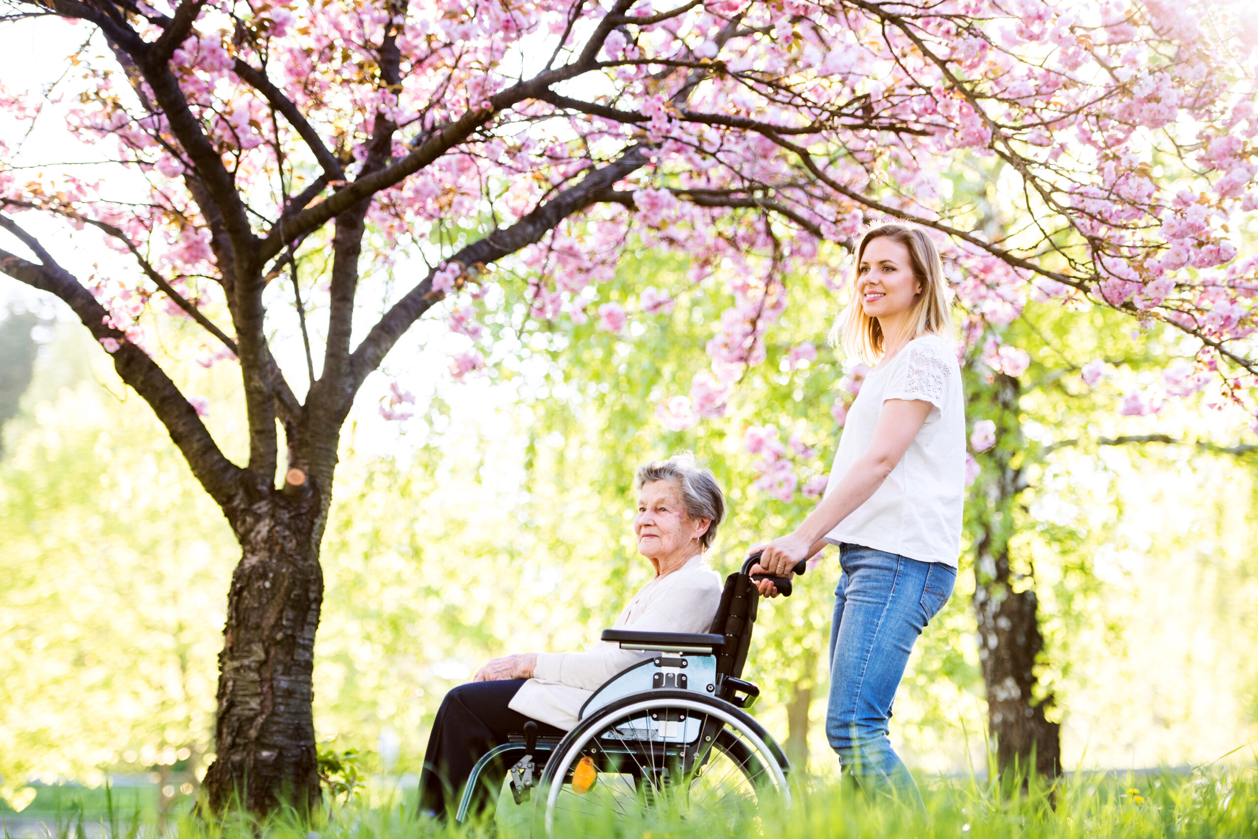 Dual regulatory compliance environment of the Aged Care and Disability